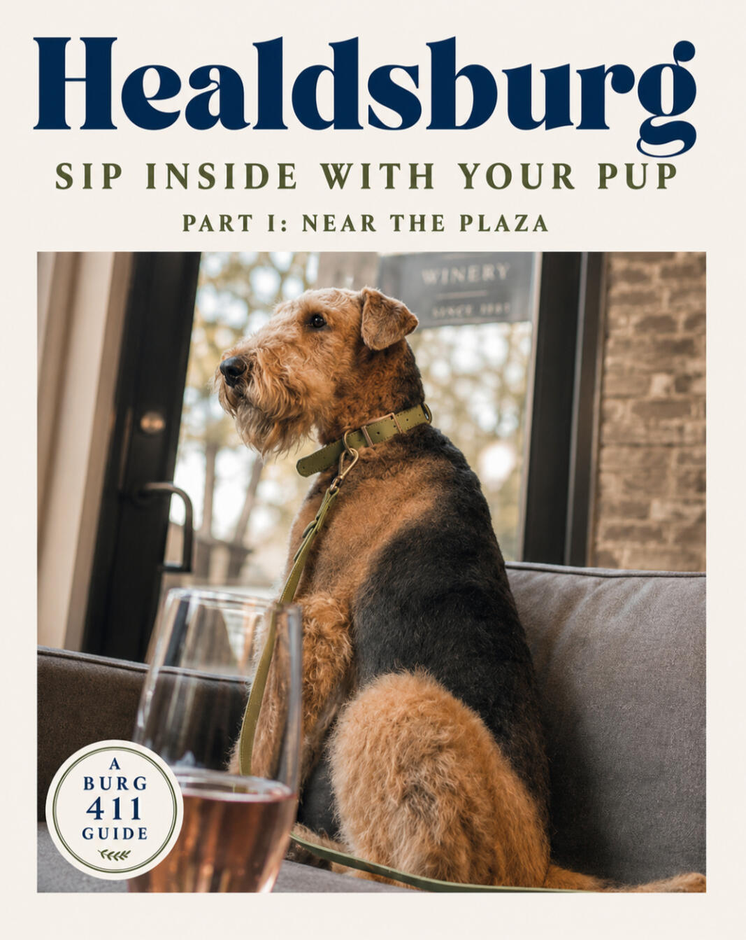 Sip Inside With Your Pup - Near the Plaza Sip Inside With Your Pup - Near the Plaza