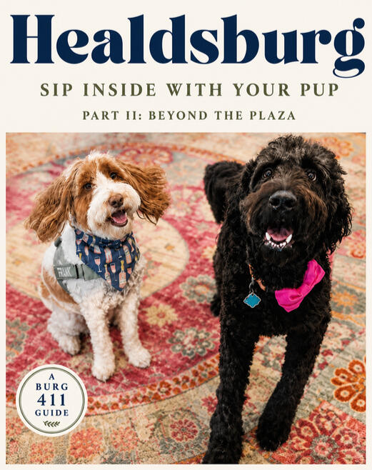 Sip Inside With Your Pup - Beyond the Plaza